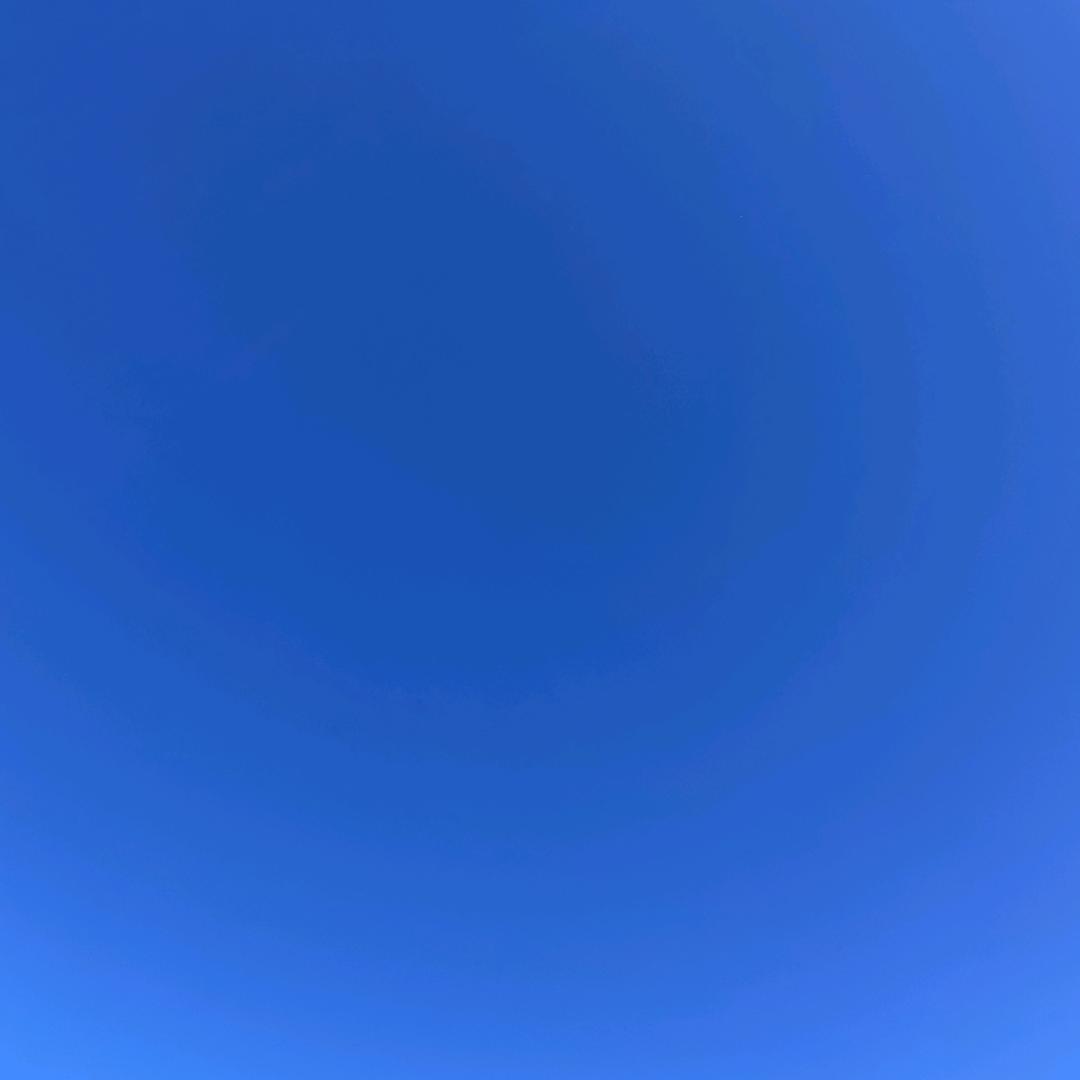 酸菜肉