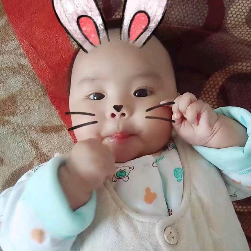 每天在路上2026年