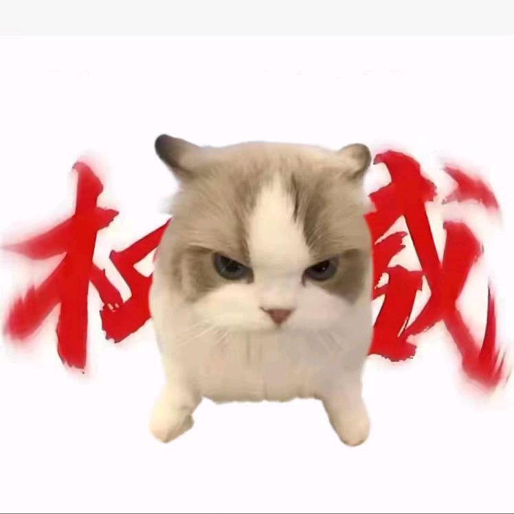 缺钙懒羊羊