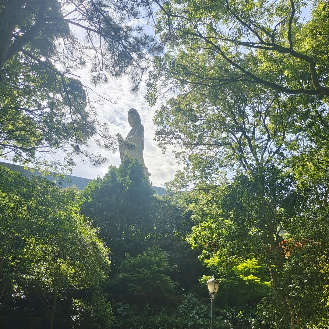 钱泽霖🇨🇳