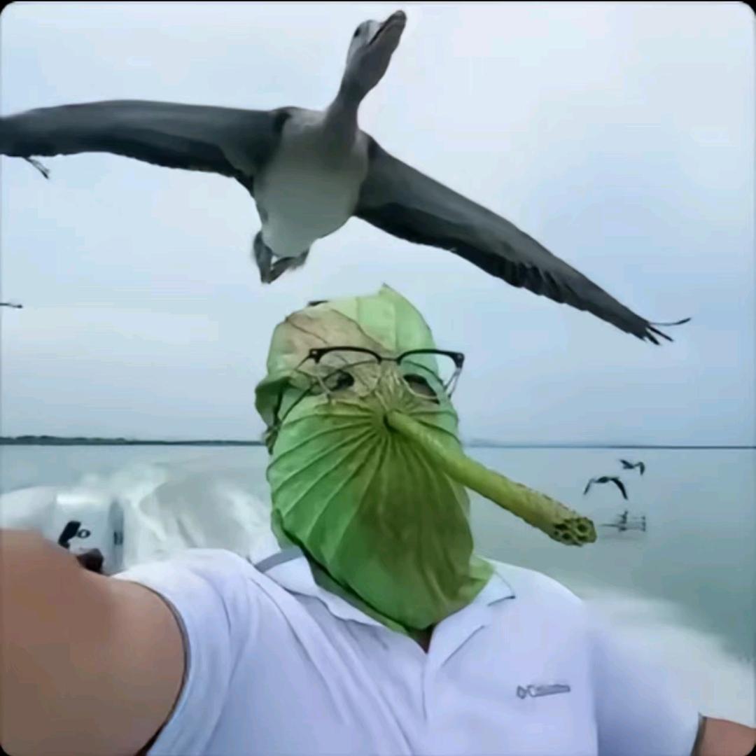 正规夜场小王子