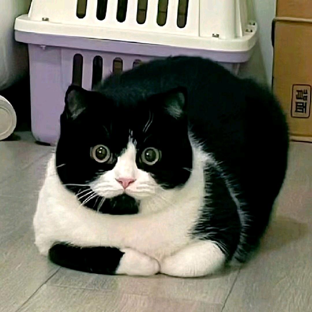 重生之我在抖音刷抖音