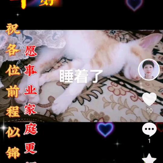 琳姐