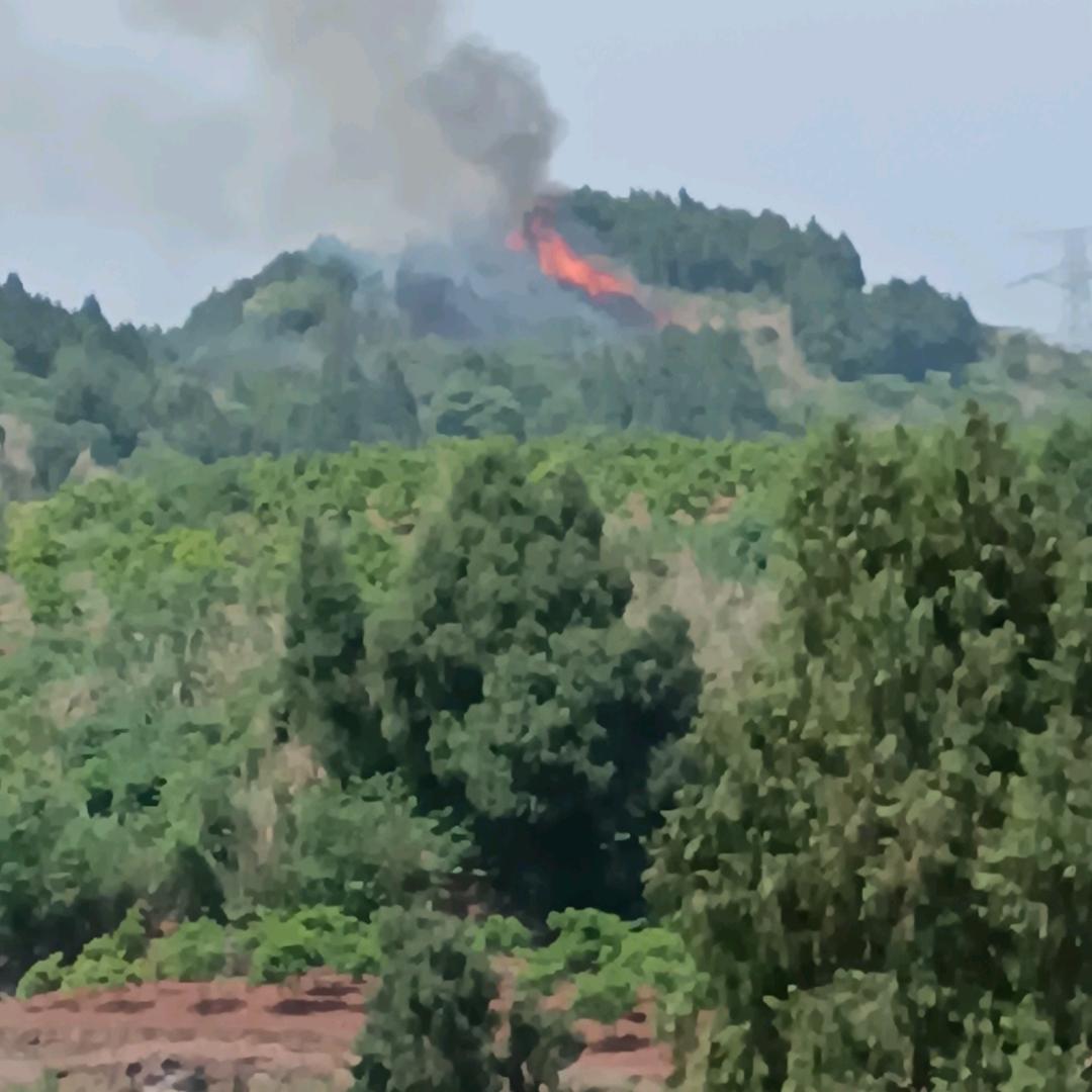 最初的梦想&冷月