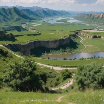 桂兰看电视铺子