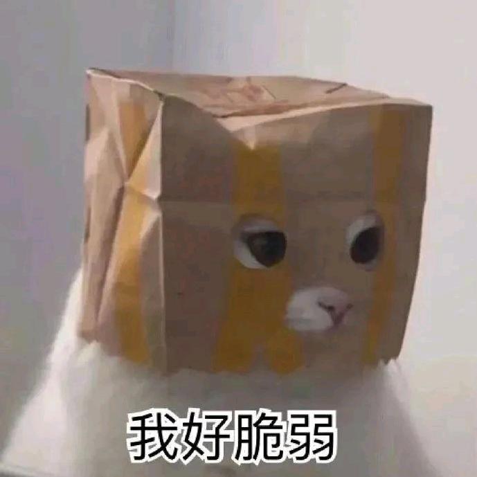 摸余（鱼）