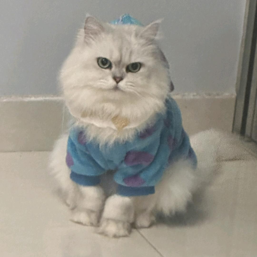 杳🐈‍⬛⁵²⁷