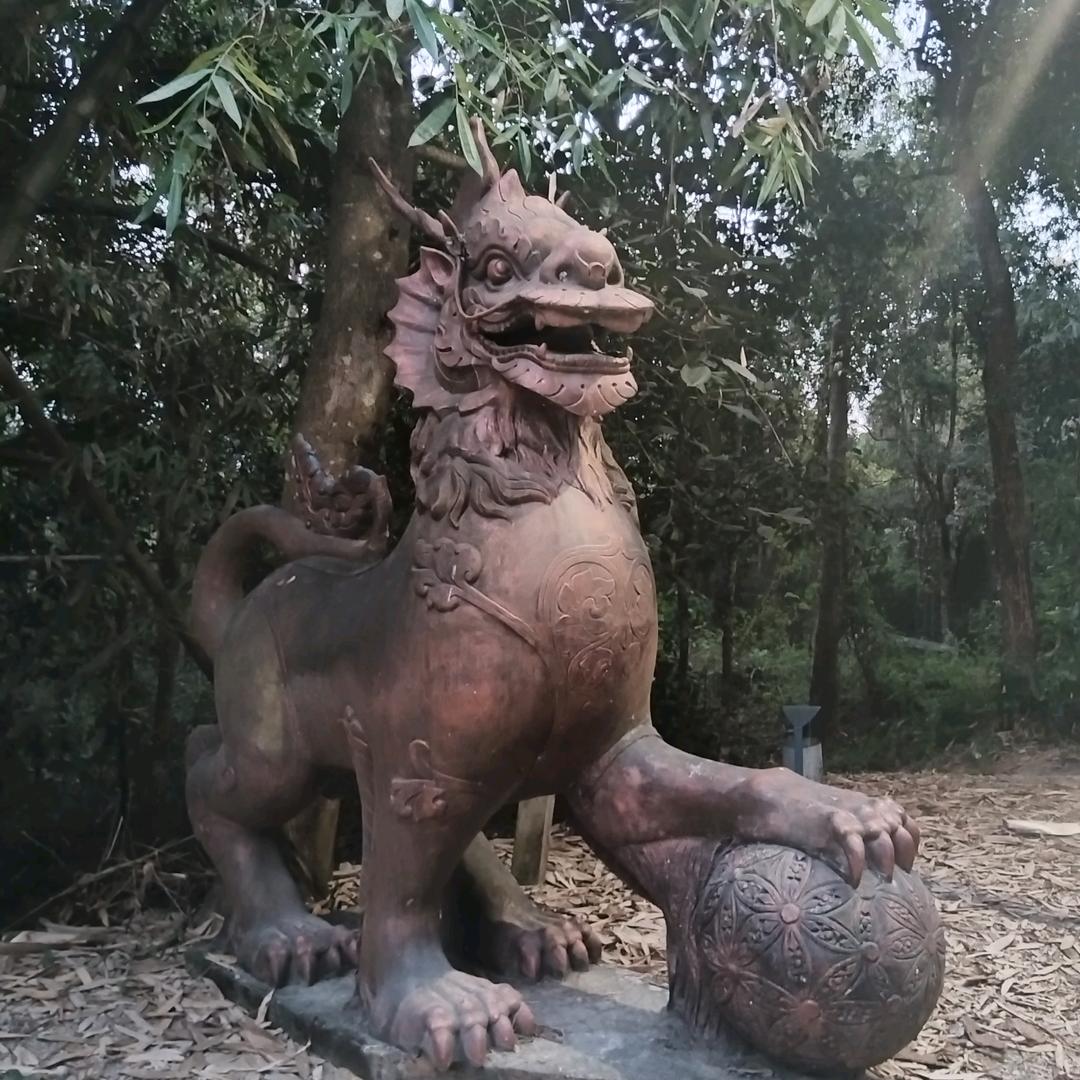 小🐴哥