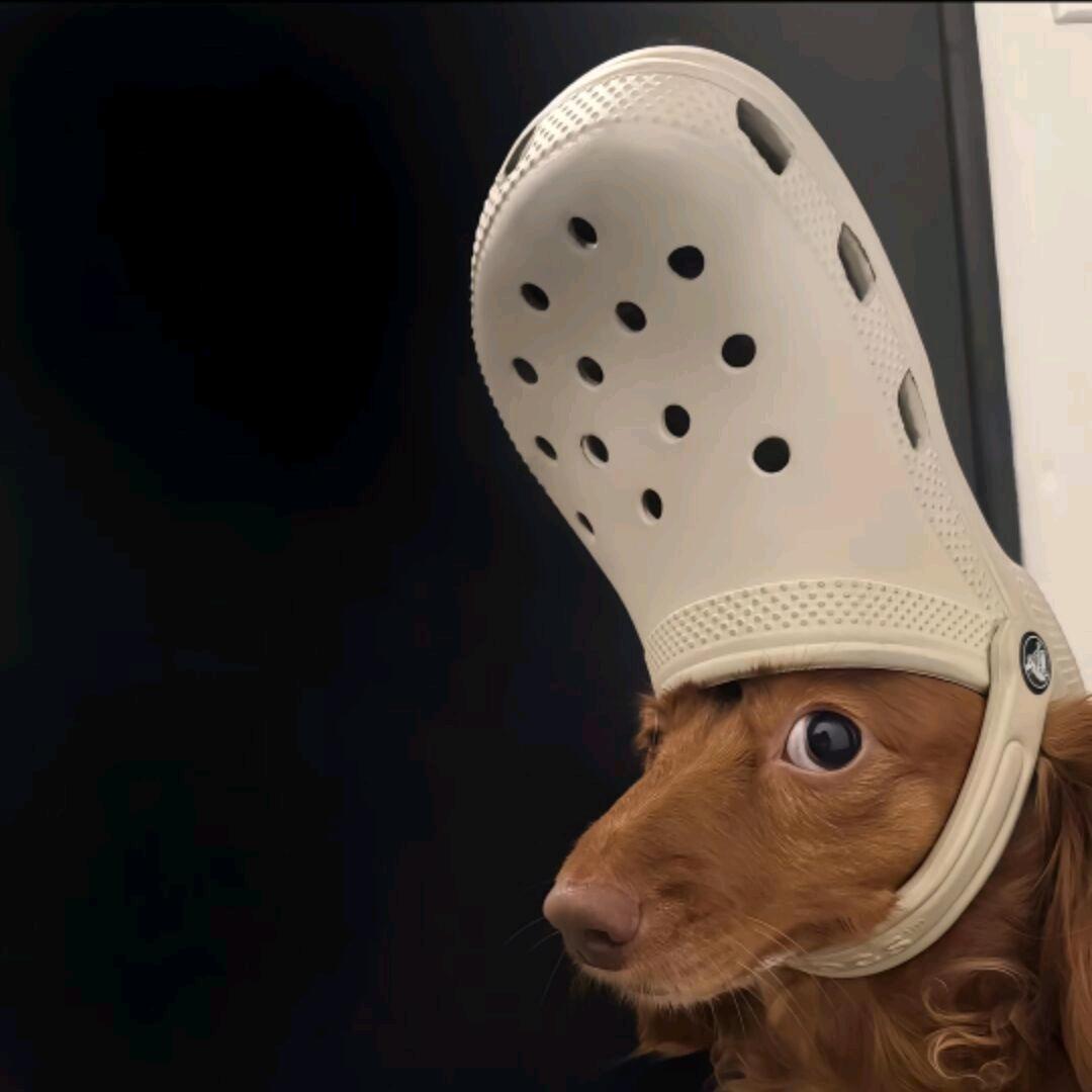 和平精英（牢大赢家）