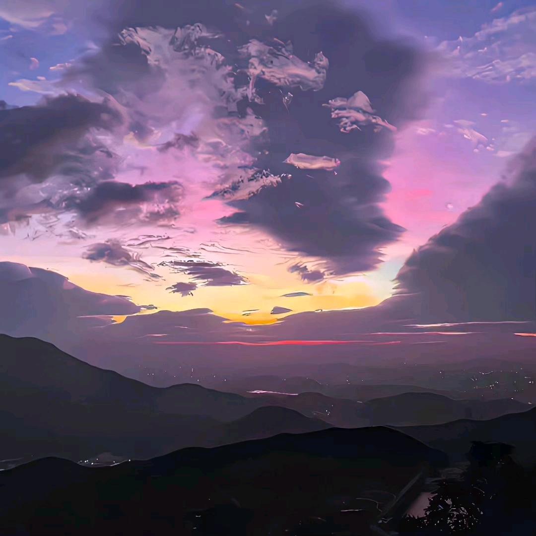 樱花落