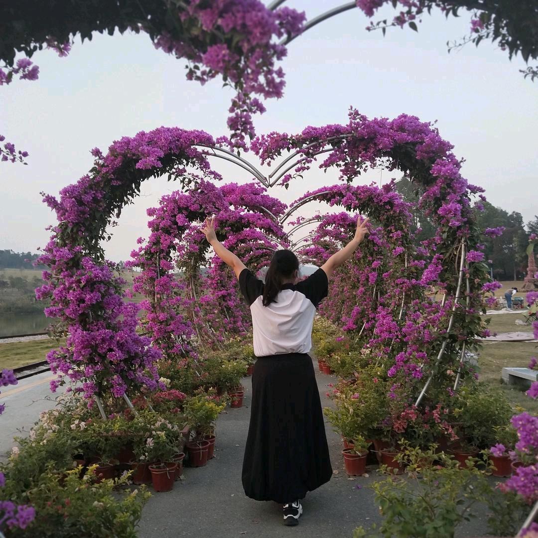 一生有李《敏》