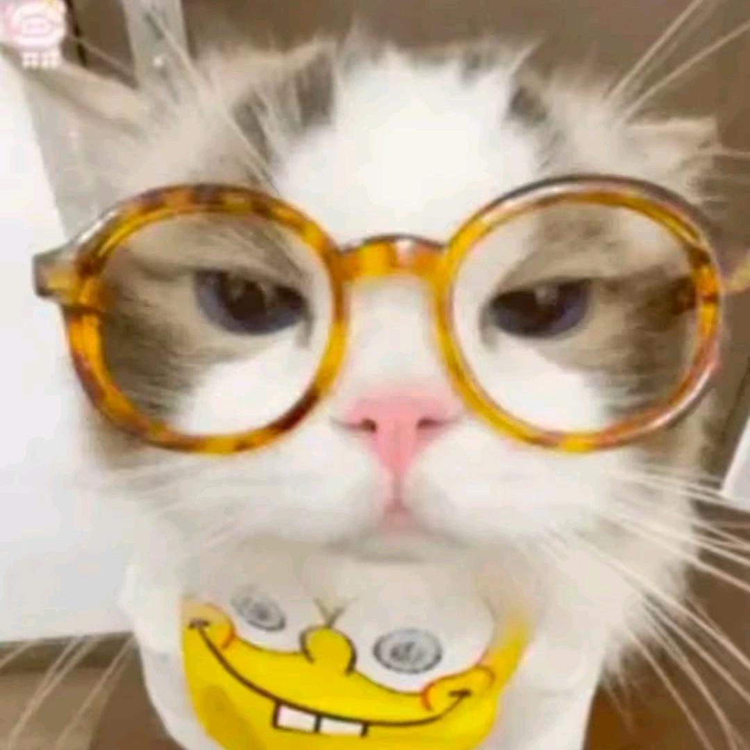 有条鱼🐟