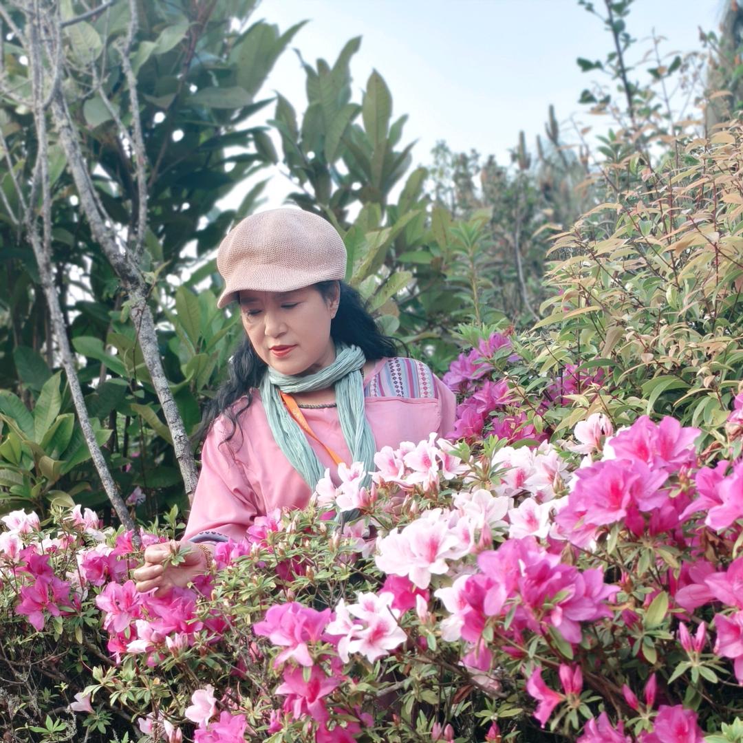 嗨我是虎姐
