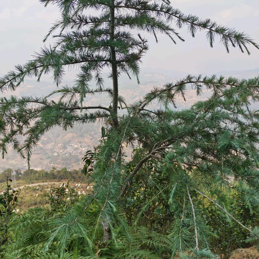 什么都假.唯有爱自己才真