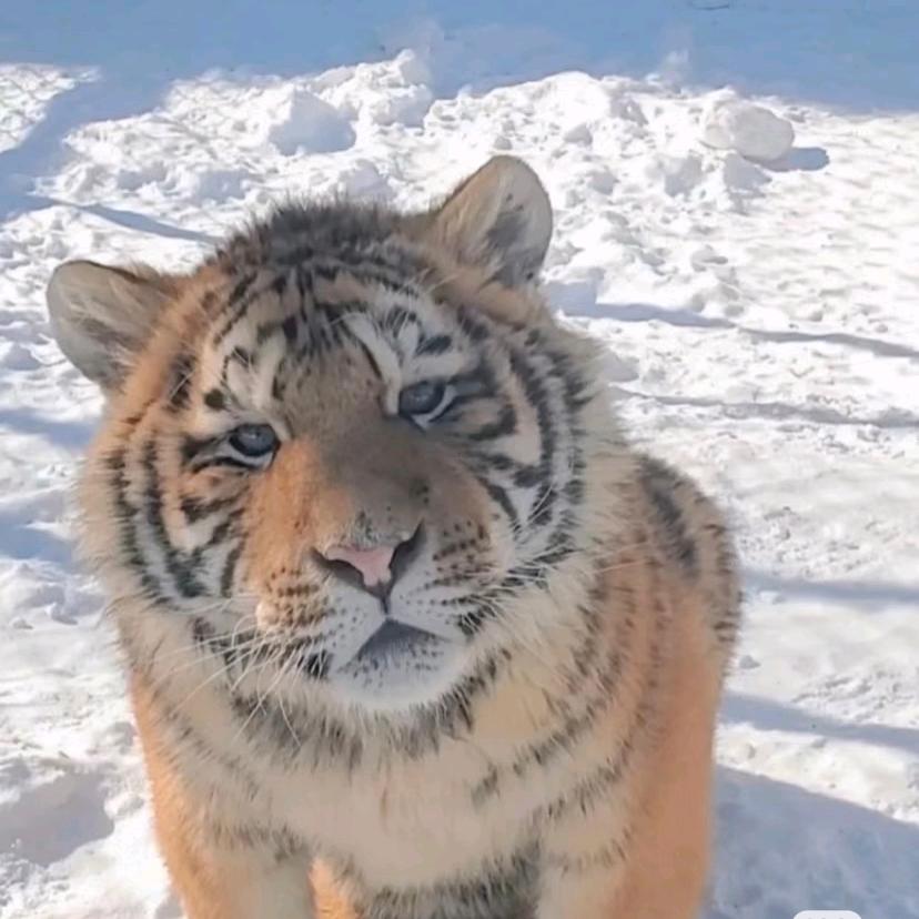 人生短短三万天