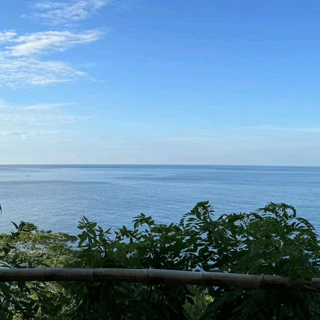 静而不争（拒私聊）