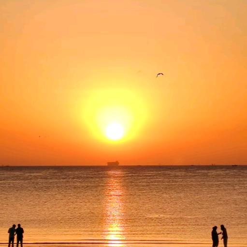 陈心陈意，万李挑一