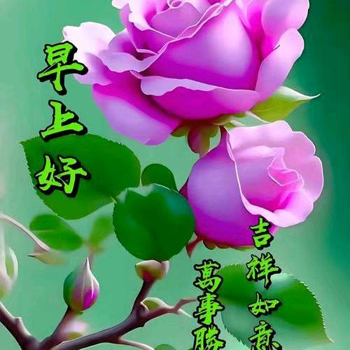 想念