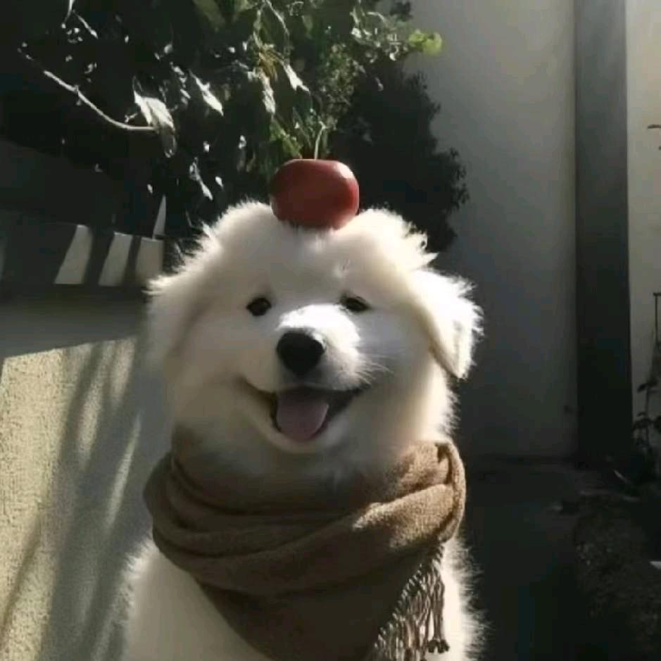 芒果菠萝西瓜冰头像