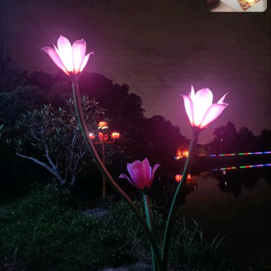 :🥀᭄别꧔ꦿ℘惹我ꩵ