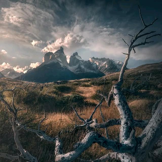 𝕜ꫀꫀρ ꪗꪮꪊ𝕣 ડρⅈ𝕣ⅈ𝕥