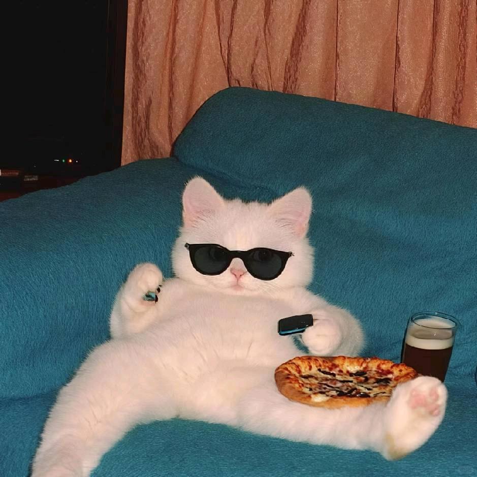 猛猛的小灵