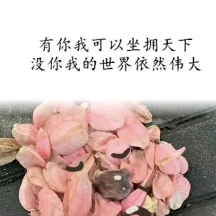 ℳ̶̶♡̶҉七分ℳᥫᩣ偏爱ღ᭄