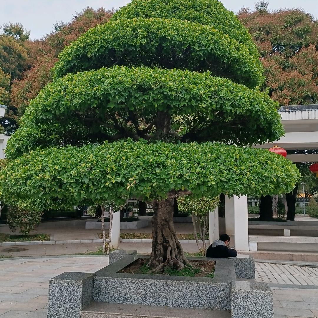 曾经拥有