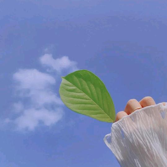 开心过好每一天