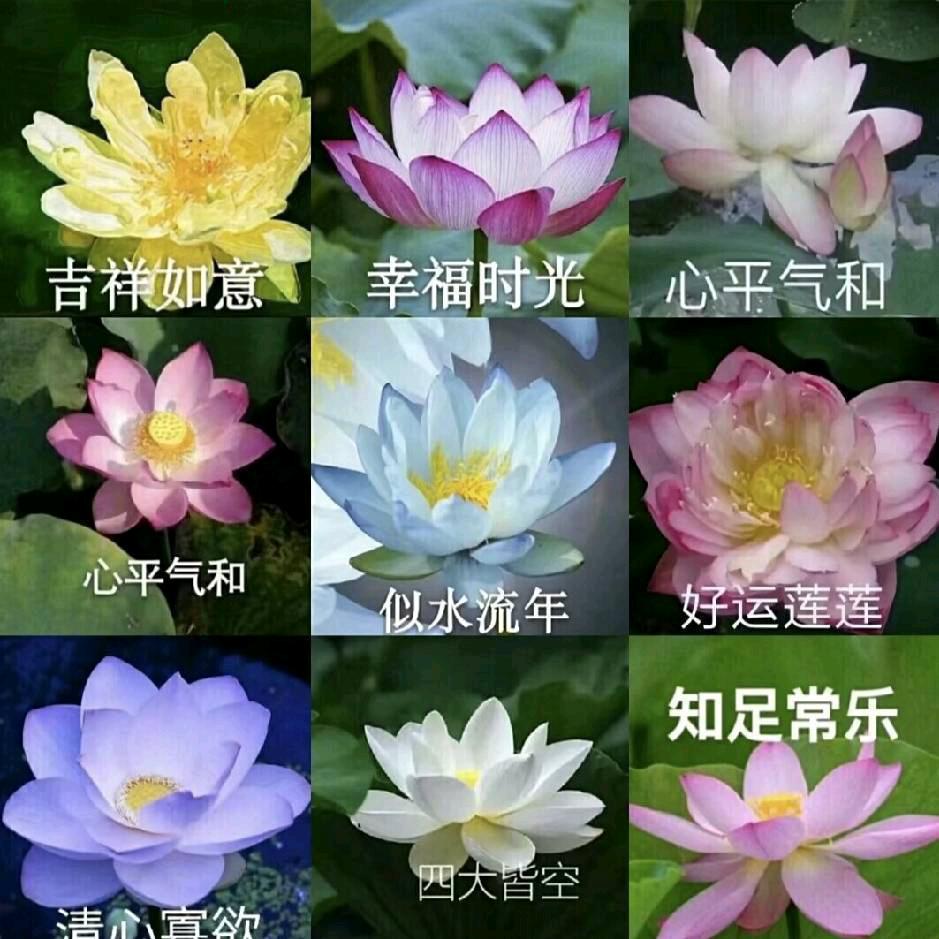 T.幸福一家人