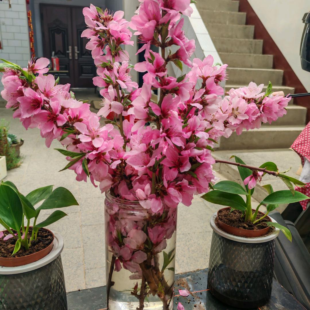 开心花