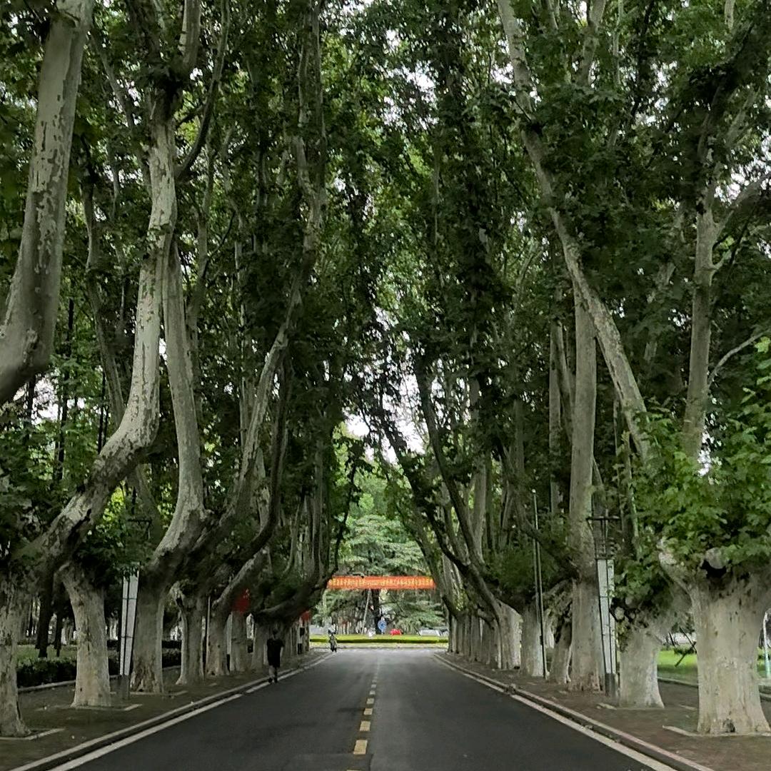 岁月so~静谧