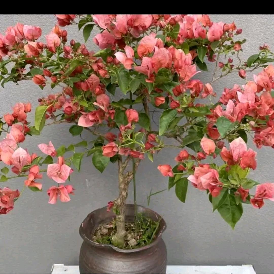 🌈山河故里🌈