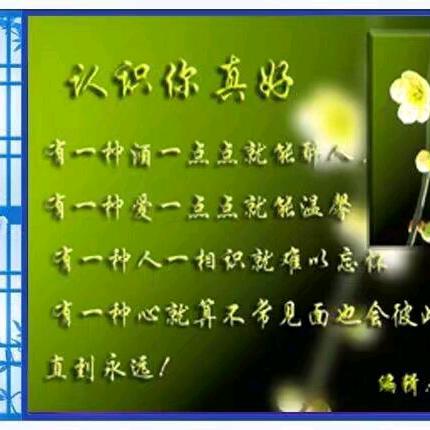 孤雁天空蓝比翼