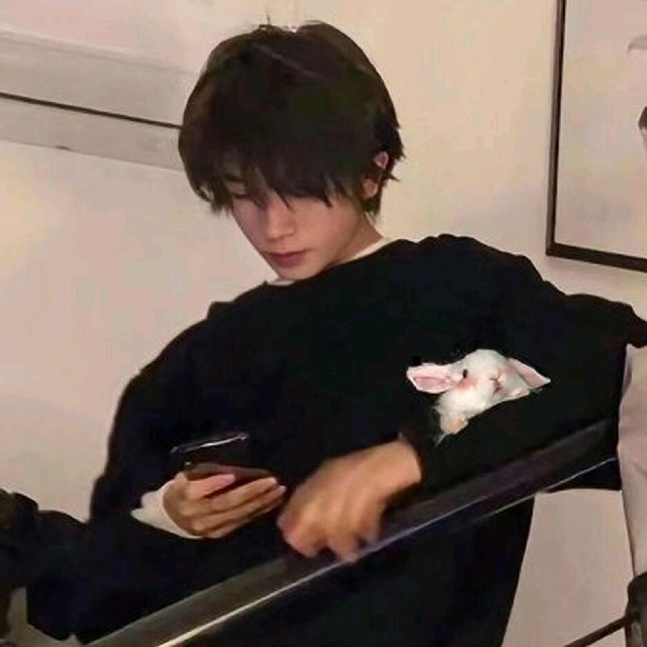 不遇春（金铲铲）