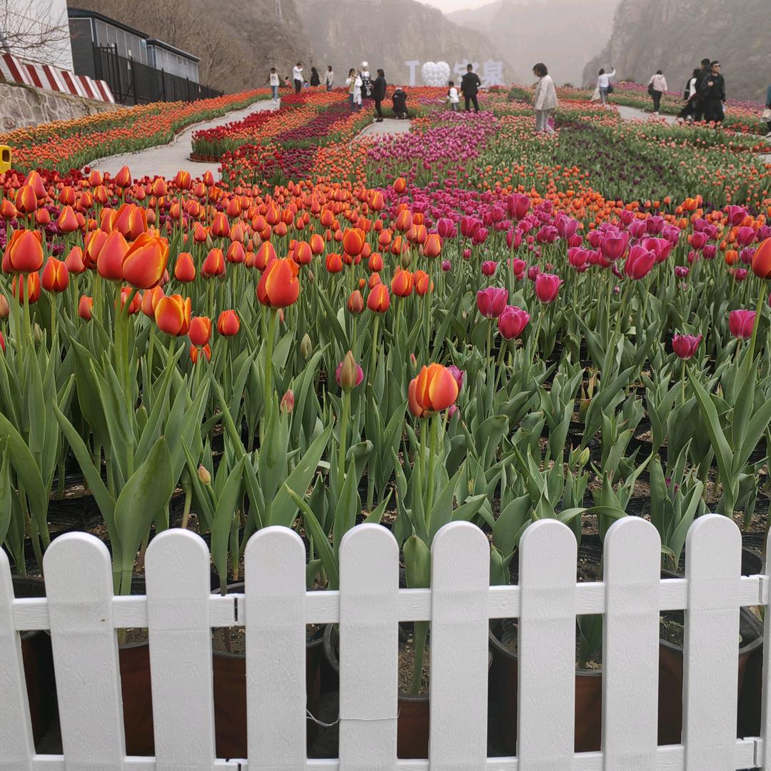 💞农村℘࿐ᩚ℘࿐ᩚ男人