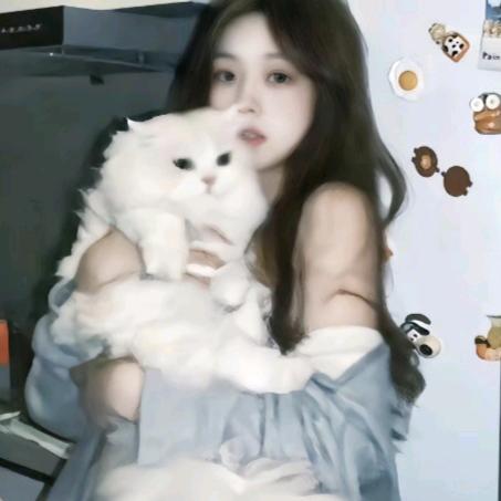 kitty