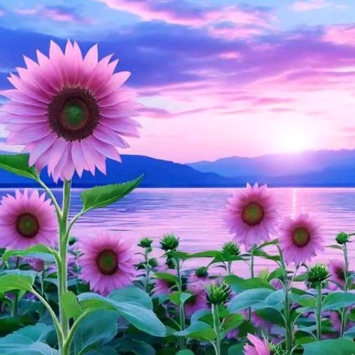草原一枝花