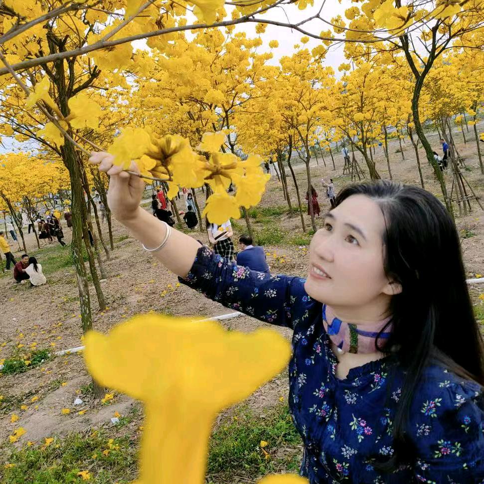 花姐（窗帘）助力开播号晚上9点10分