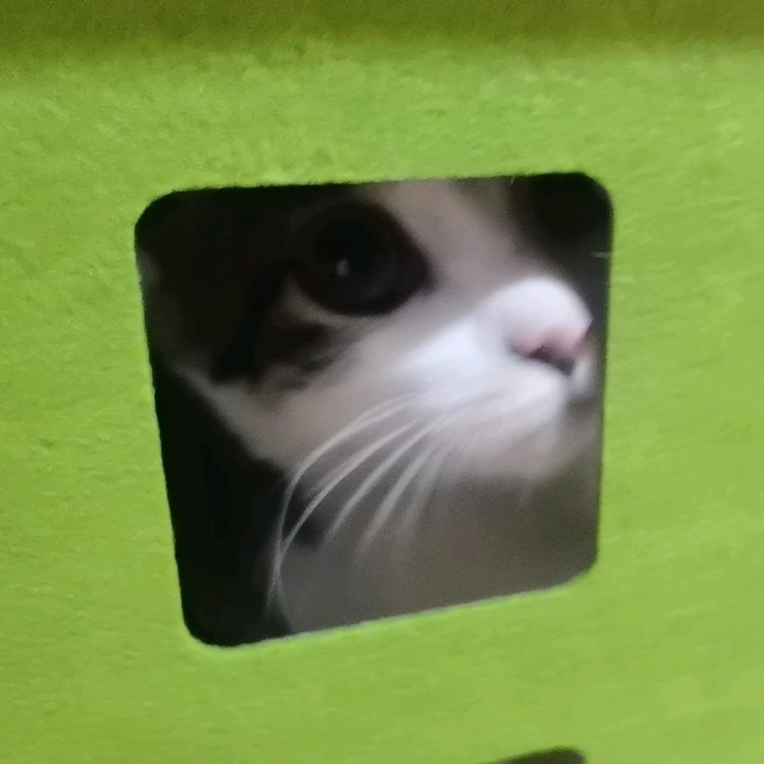 ❥咕噜