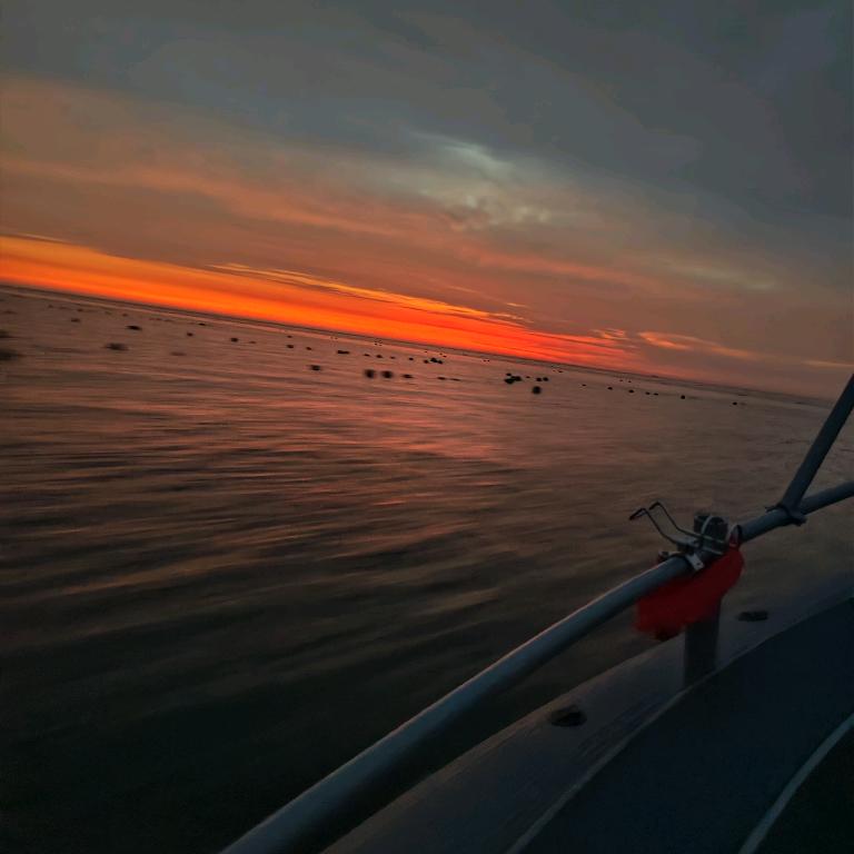 海天驿旅海钓小王