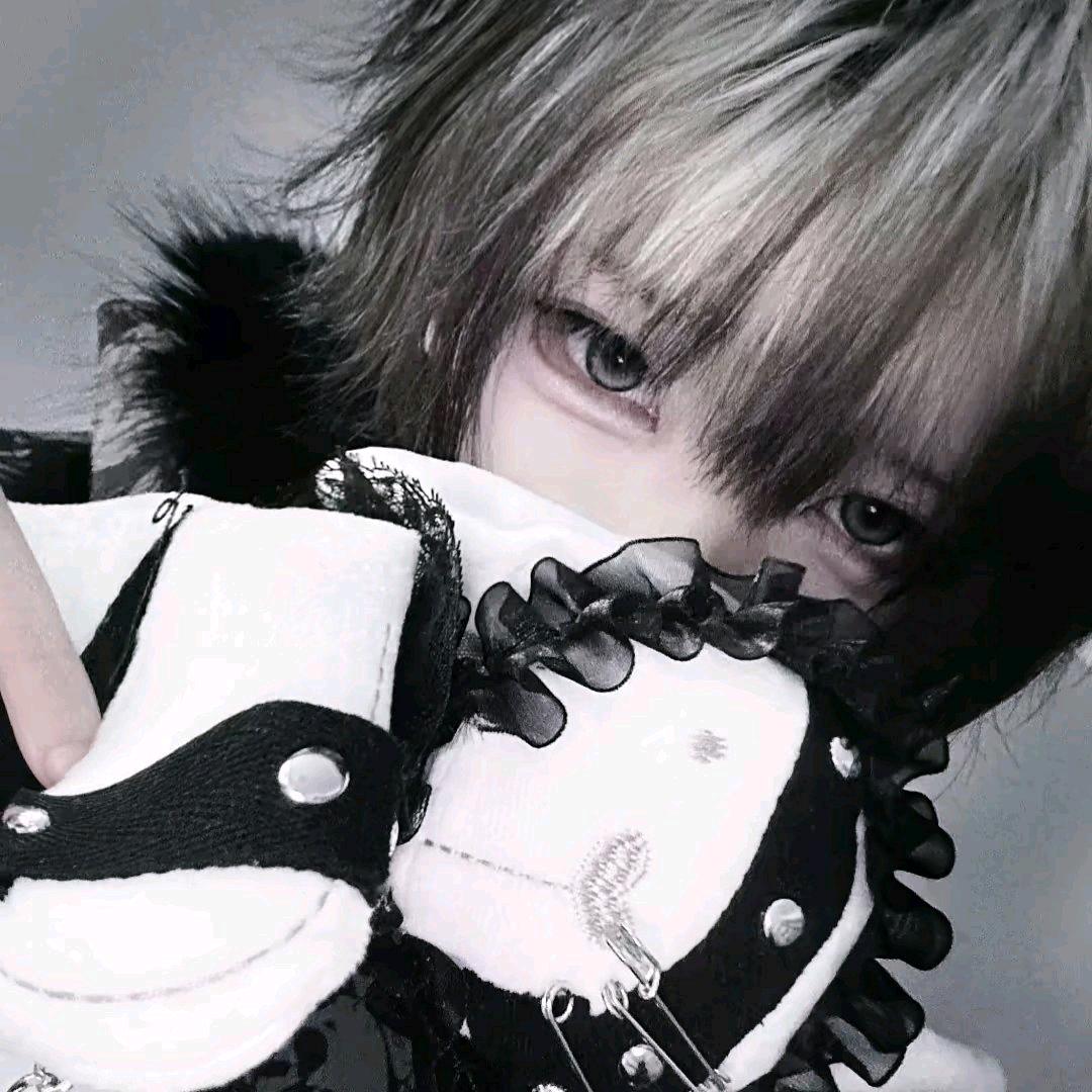 ⁺ ˖ ☘︎ ˖ ⁺