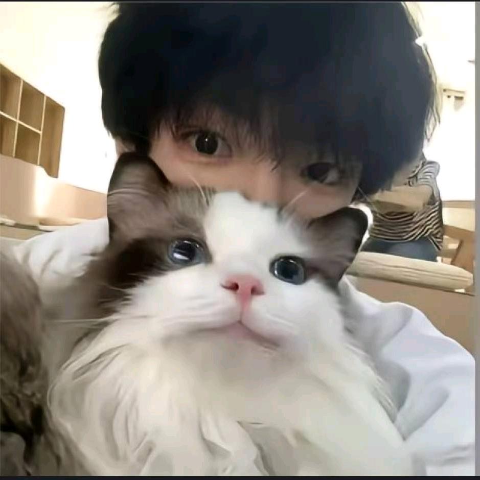 不将就.波郎（破防）