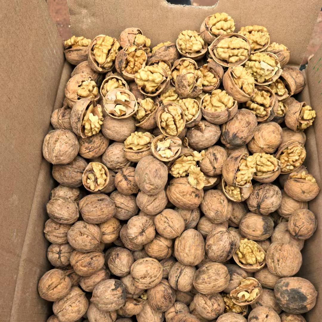 核桃。红枣 批发
