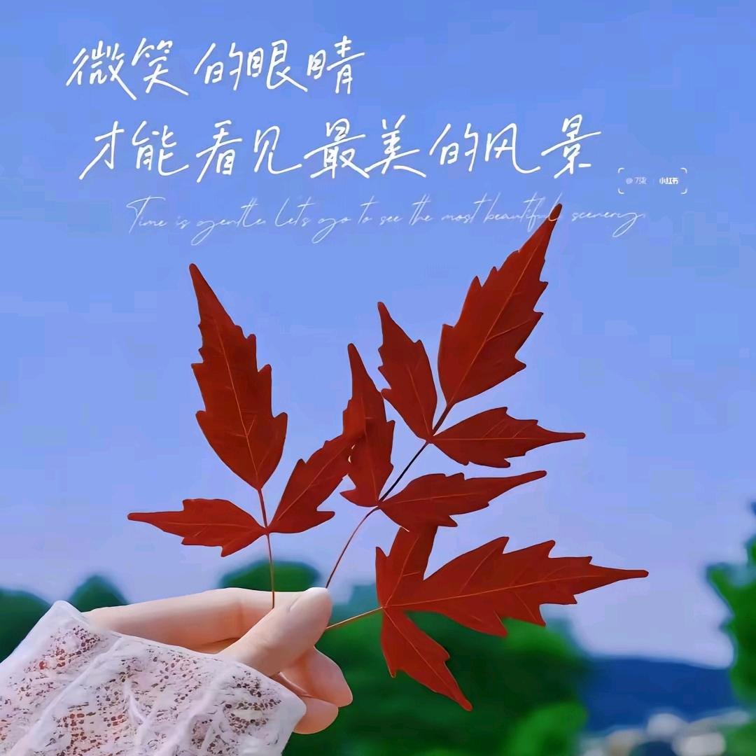 ʕ·͡˔·Ɂ安于时光ღ᭄ꦿ