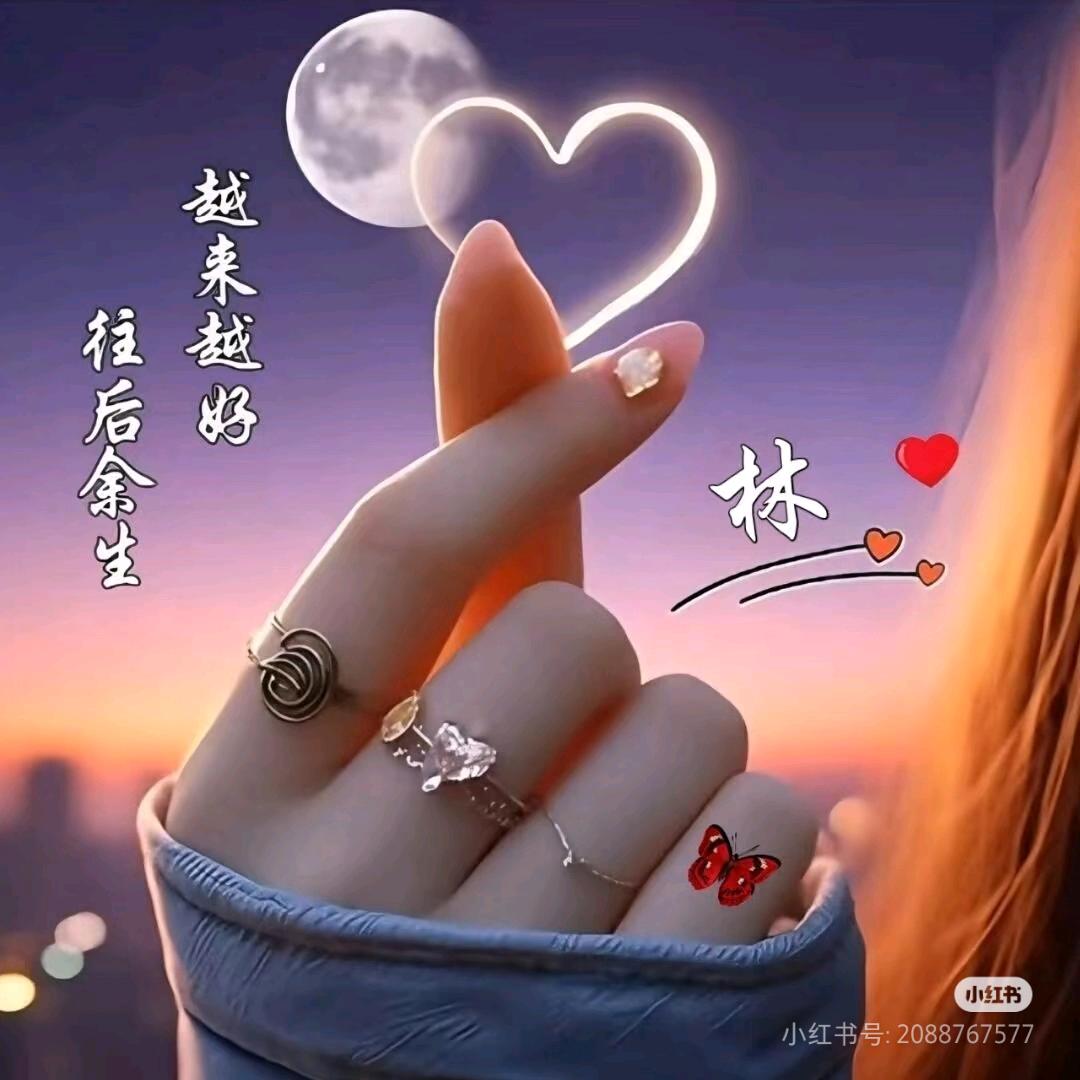 💞ꦿ᭄࿆林💞ꦿ