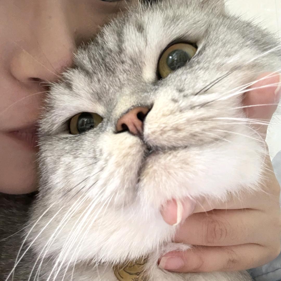 陈槑槑