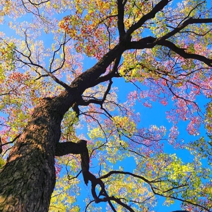 🧭走向下一场山海