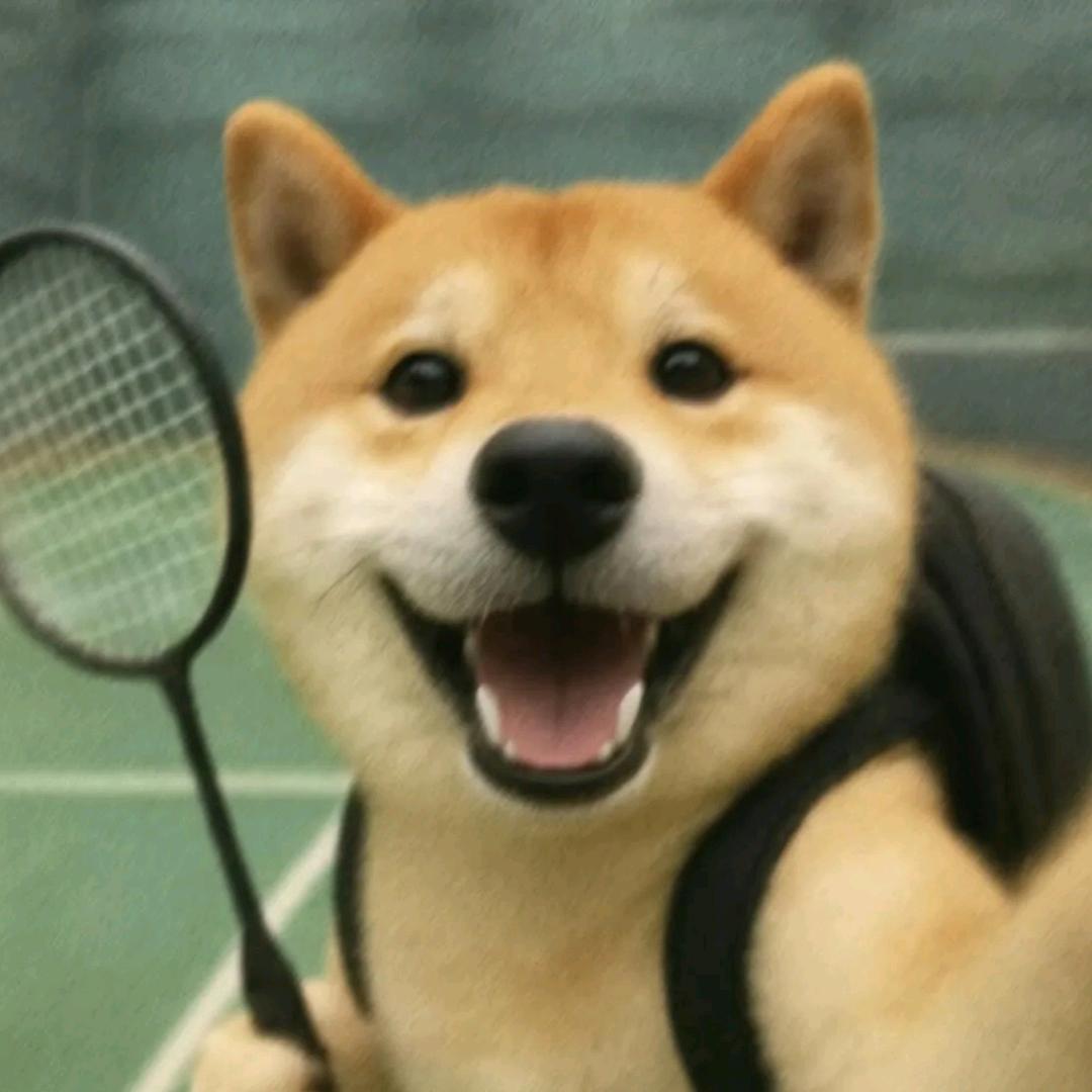 小摄影狮🏸