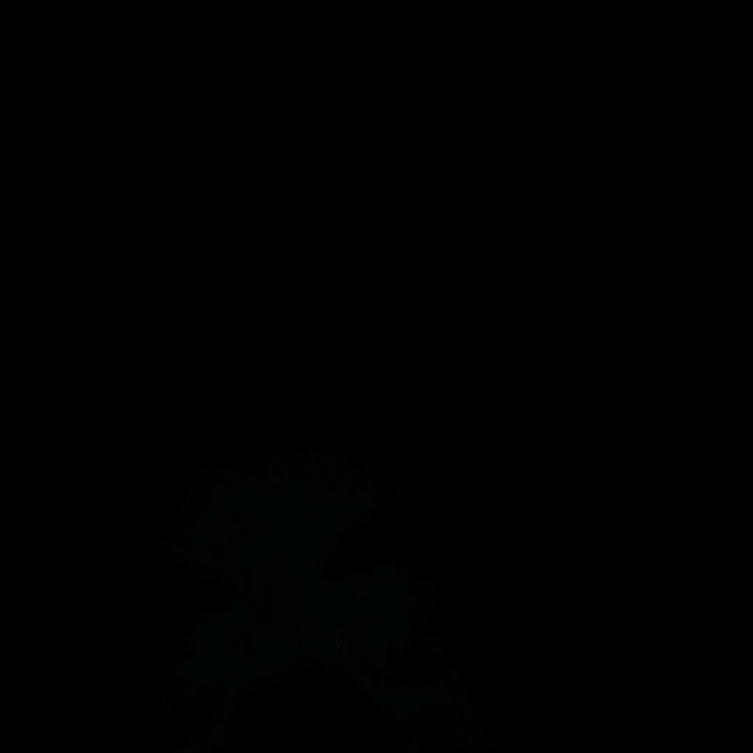 小苦瓜